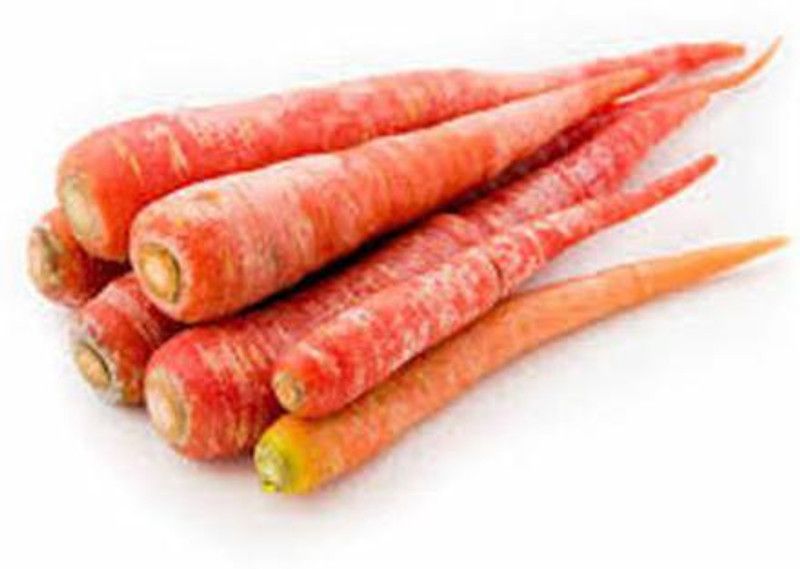 XOLDA Red carrot plant Seed  (35 per packet)