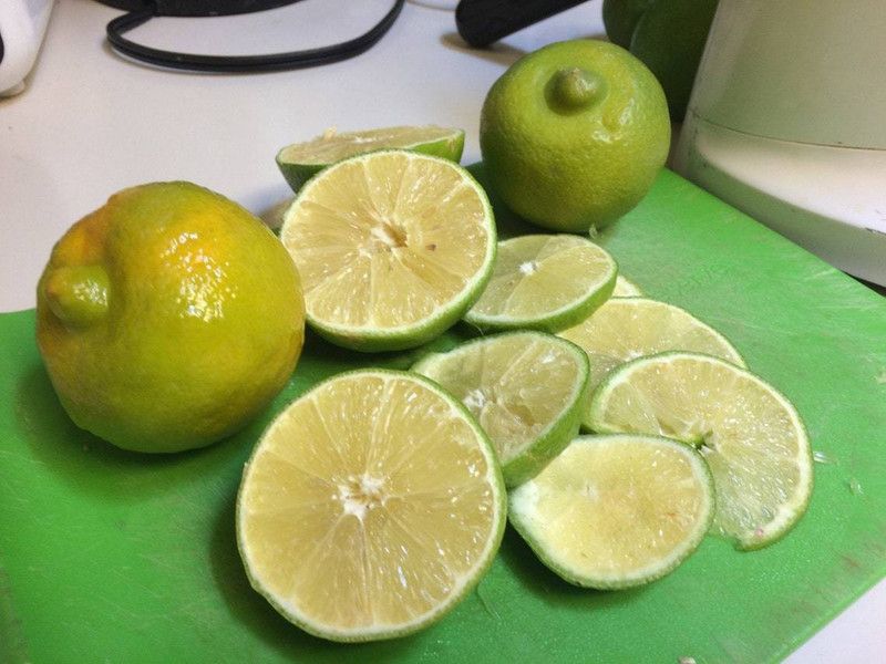 Klone Mosambi / Citrus Limetta Seed Seed  (25 per packet)