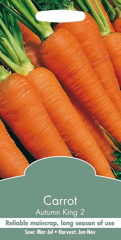 WILLVINE Vegetable - Carrot - Autumn King 2 Seed  (1000 per packet)