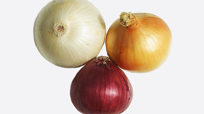 Paudha ONION Seed  (50 per packet)