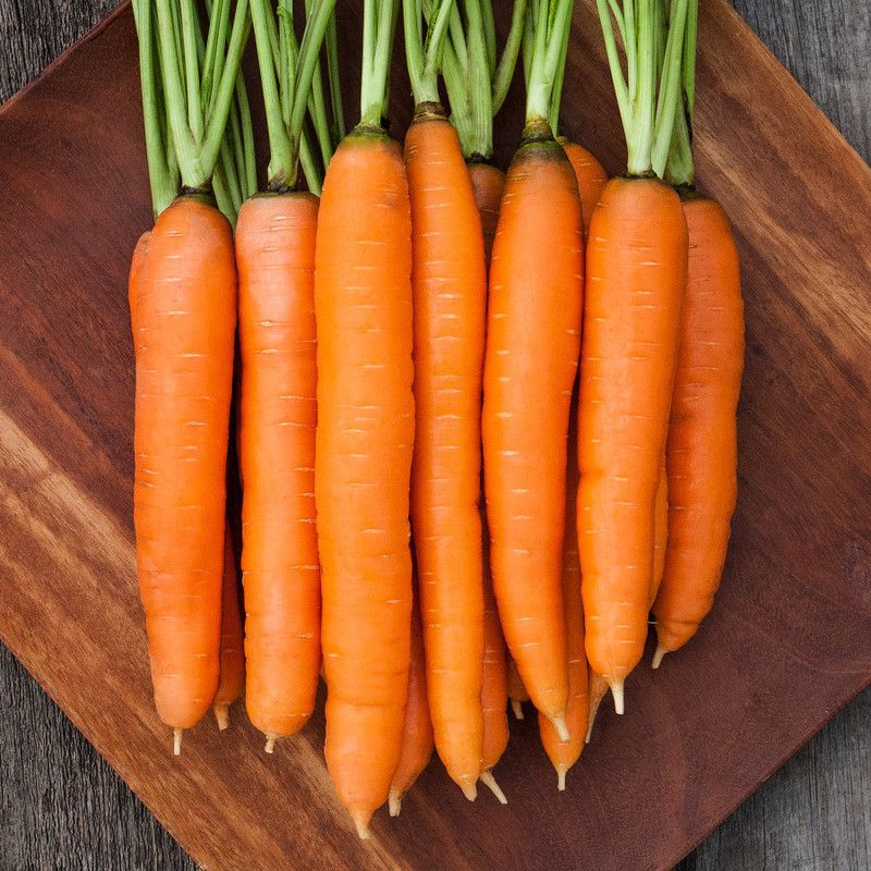 Paudha Carrot Seed  (20 per packet)