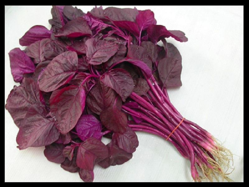 Mozette Red Amaranthus Vegetable Seed  (12 per packet)