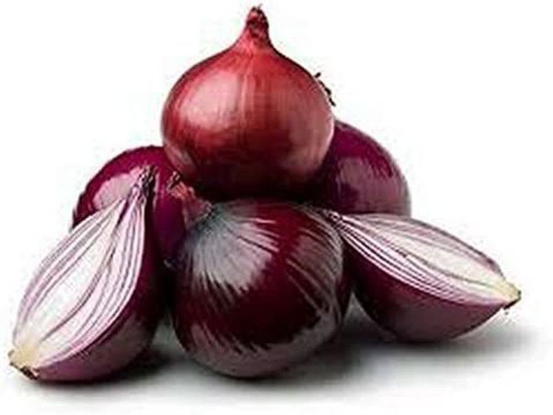 WILLVINE HUA-813 Red Onion Seeds Seed  (1000 per packet)