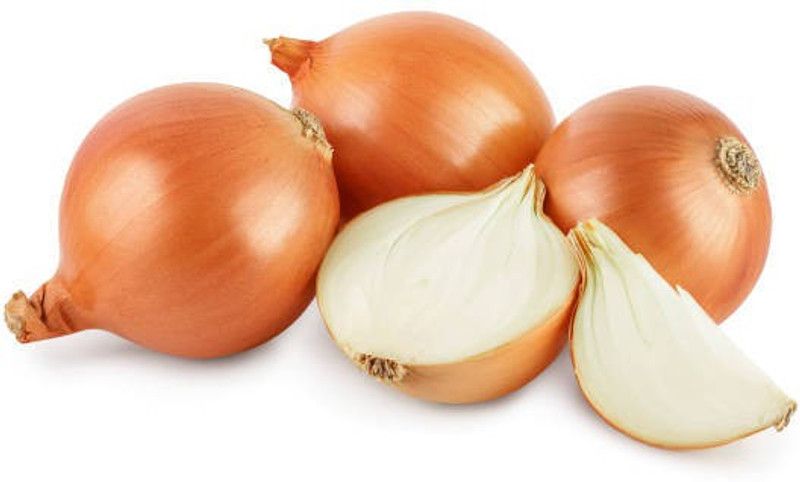 ZOTIKOS Light Red Onion Seed  (25 per packet)