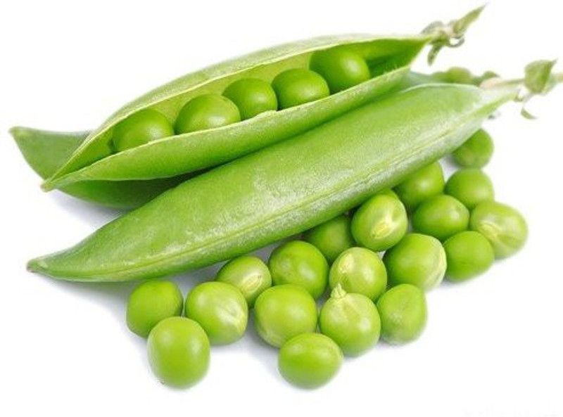 XOLDA Organic Green peas (mutter) Seed  (51 per packet)