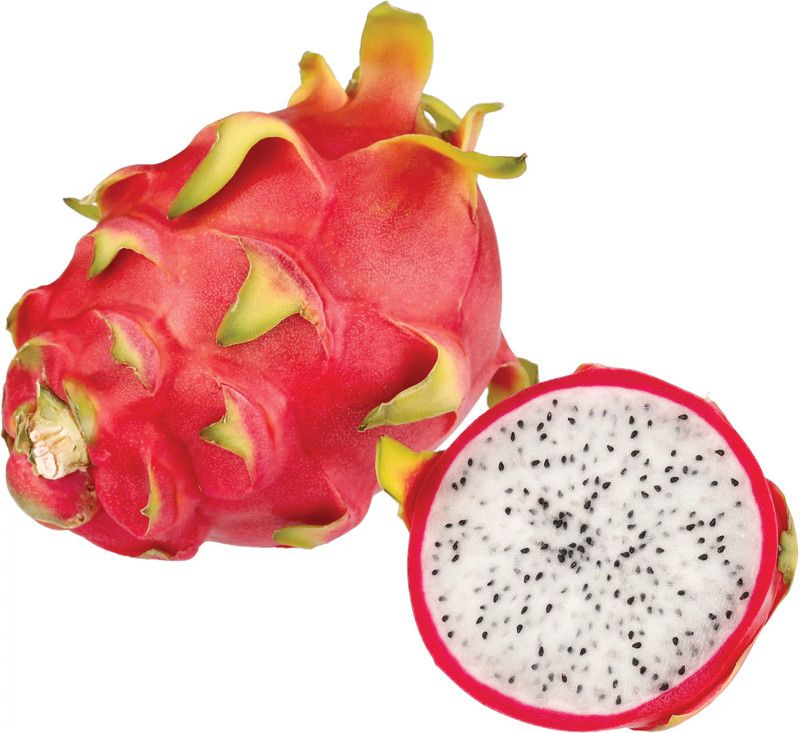 XOLDA Dragon Fruit Hybrid Seed  (45 per packet)