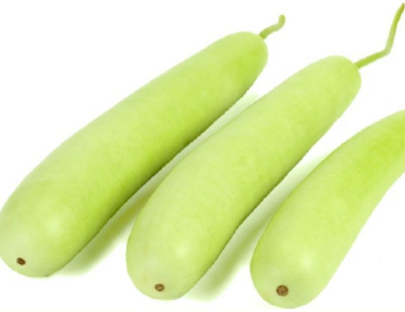 UGRA Bottle Gourd F1 Hybrid Sumant seeds Seed  (500 per packet)