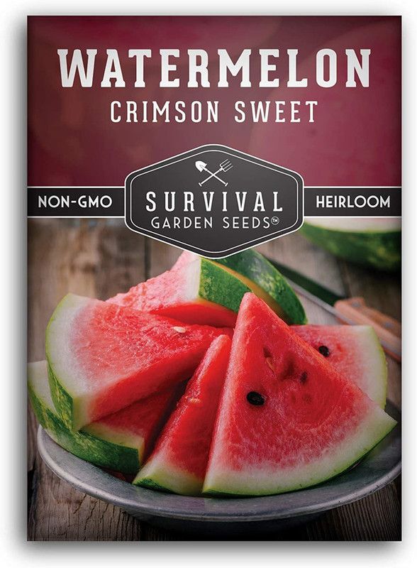 MKR Enterprises Water Melon Seed  (40 per packet)