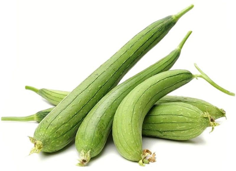 UGRA Sponge Gourd(Turai) Seed  (80 per packet)