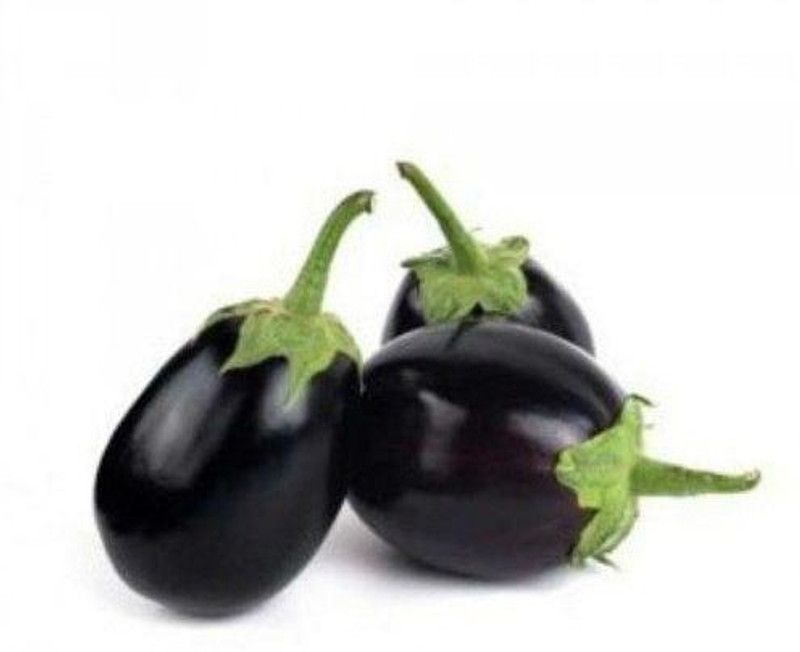 Mozette Hybrid Brinjal Seed  (70 per packet)