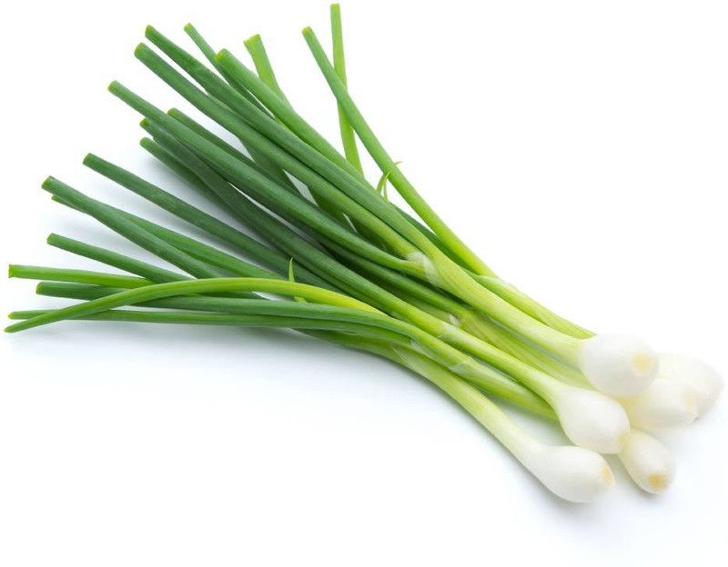 ARTHAM Onion Seed  (250 per packet)