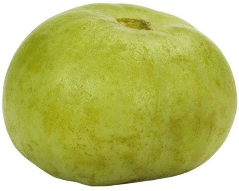 WILLVINE APPLE GOURD SEEDS Seed  (100 per packet)