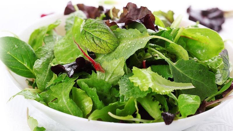WILLVINE VXI-854 Ethiopian Green Lettuce Seed  (200 per packet)