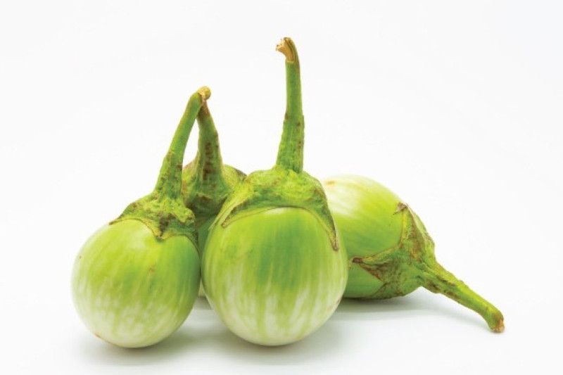 Mozette Branjal green round Seed  (101 per packet)