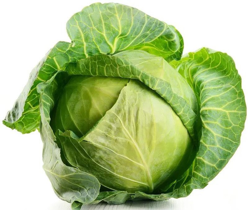 Nodoc Cabbage Seed  (25 per packet)