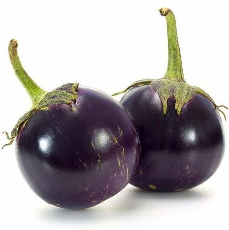 KANAYA Begun Seed  (75 per packet)