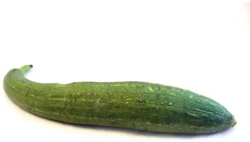 UGRA Sponge Gourd/turai/tori Seed  (300 per packet)