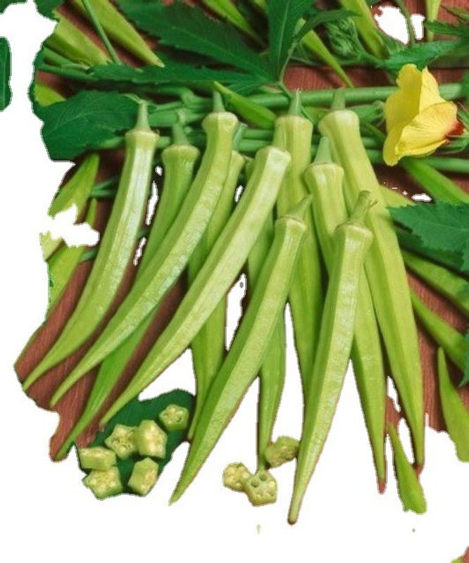 Corofitam Z1689_N_OKRA 3600H F1 HYBRID Seed  (200 per packet)