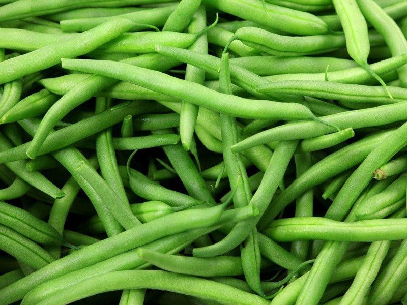 XOLDA Organic French Beans Seed  (10 per packet)
