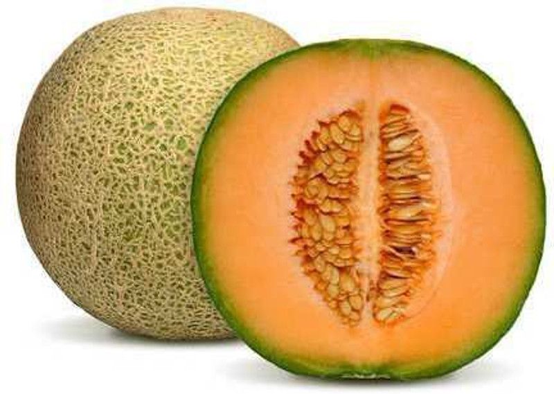Paudha Muskmelon Seed  (20 per packet)