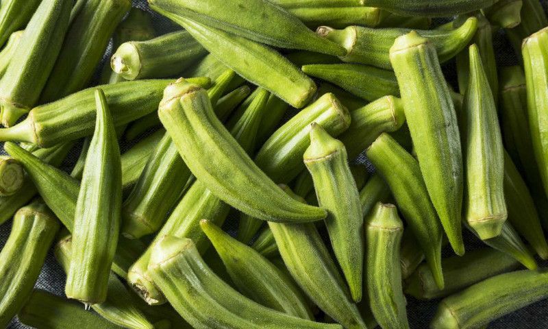 Paudha Bhendi Oakra Seed  (40 per packet)