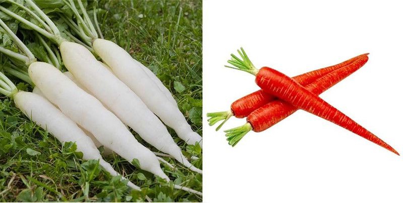 LYRS Common Carrot & Radish Planting Seed Combo For Home Kitchen Gardening - 50 Seed  (50 per packet)
