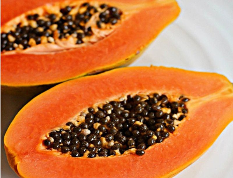 KLARKEE Organic Extra Large Papaya Seed Seed  (50 per packet)