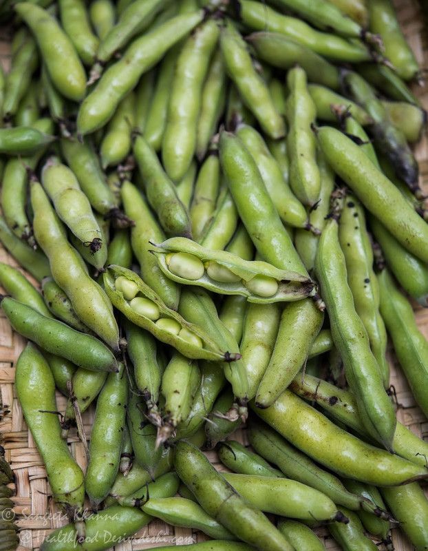 SimXotic Bakla Vegetable Aone Seeds - 30 Seeds Open Pollinated Seed  (30 per packet)