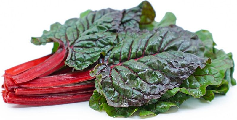 XOLDA Swiss Chard Red Plant Seed  (37 per packet)