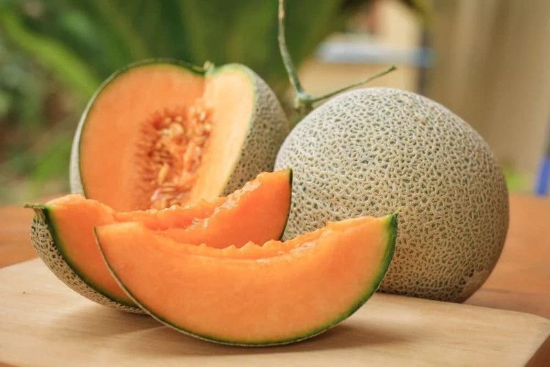 JRYU Kharbuja Hybrid Fruit Seed  (90 per packet)