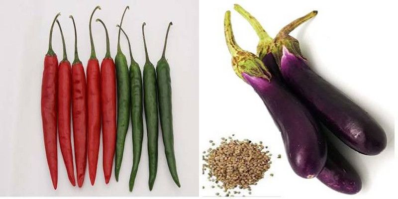 xcentax Brinjal Purple Long, CHILLI AGRI Seed  (12 per packet)