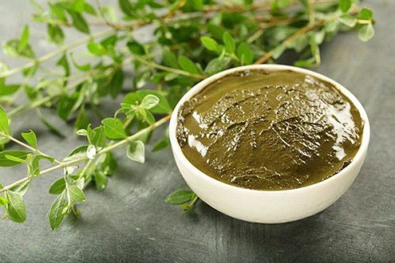 XOLDA Mehndi Plant Seed  (26 per packet)