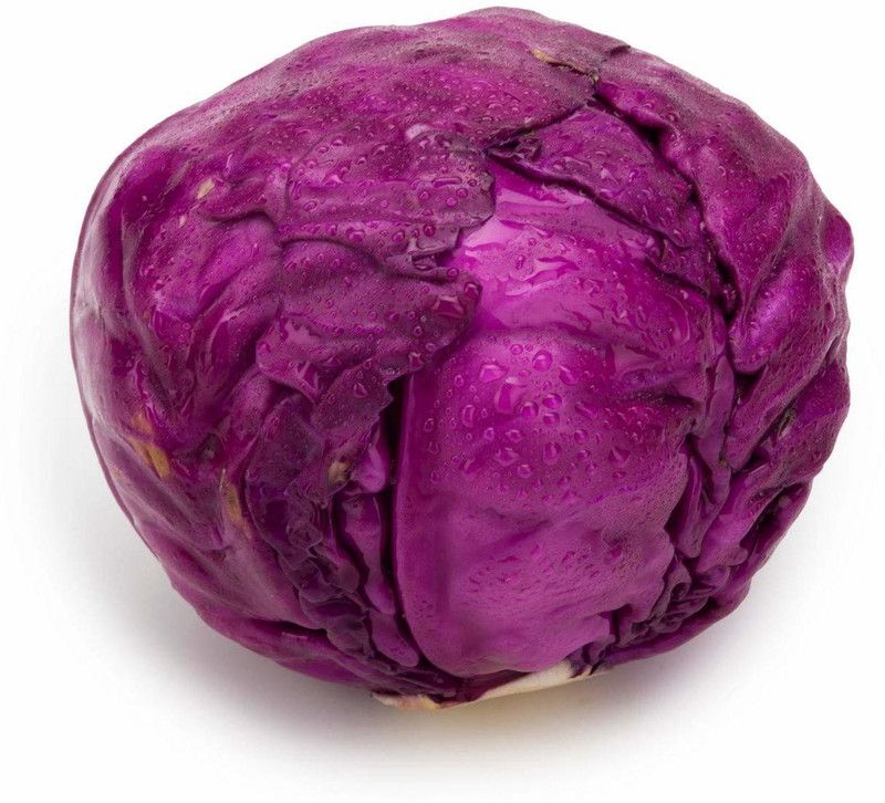 Mozette Cabbage purple plant Seed  (22 per packet)