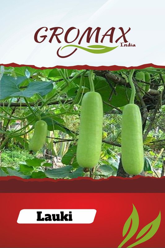 Gromax India Lauki Seed  (40 per packet)