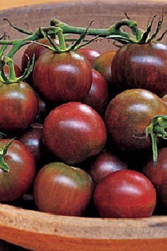 KANAYA Tomato - Black Cherry Seed  (600 per packet)