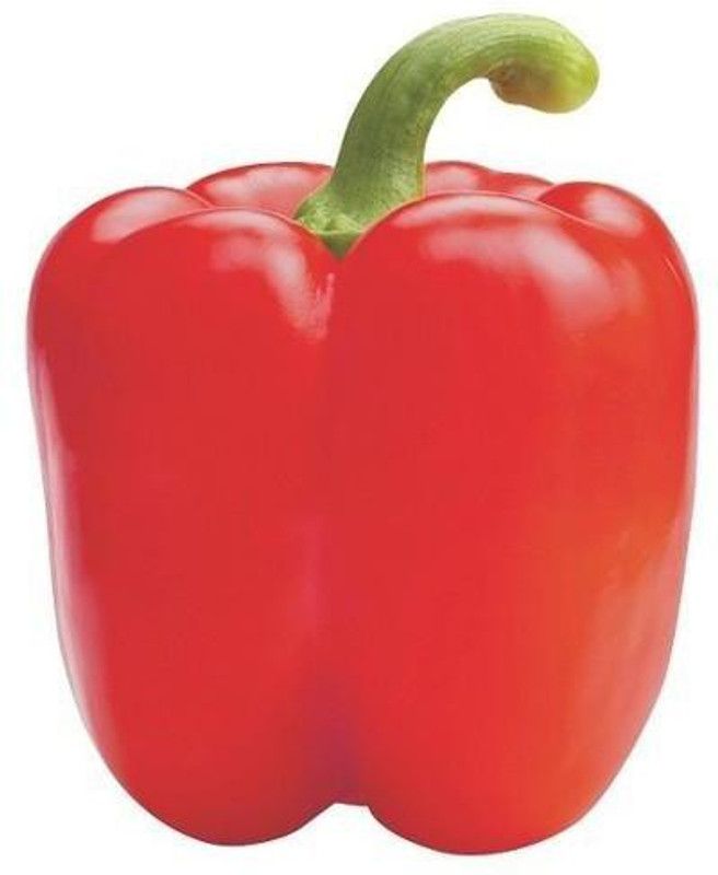 Udanta Udanta ® I Capsicum Red Vegetable Seeds For Home Gardening | Pack of 15 seeds Seed  (15 per packet)