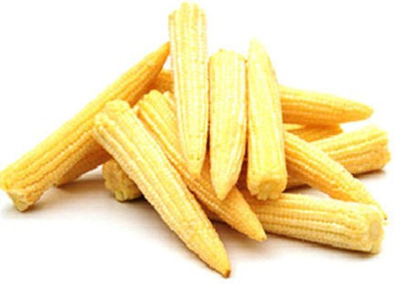Paudha Baby Corn Seed  (23 per packet)