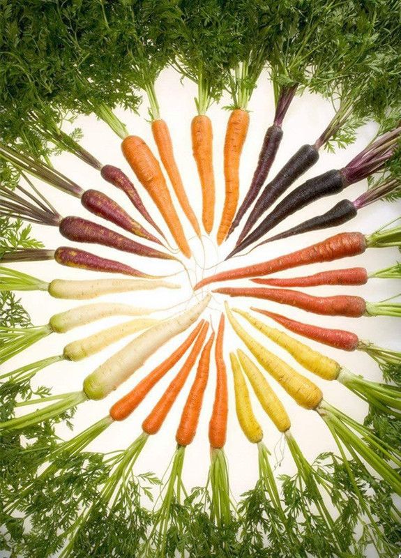 VibeX Carrot Seed  (50 per packet)