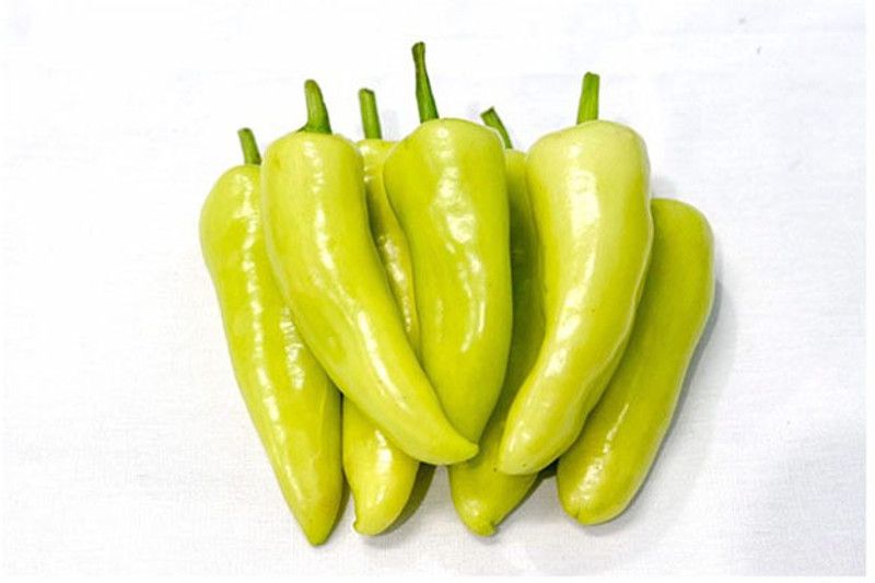granthi Thai Green Pepper Chili Seed  (2500 per packet)