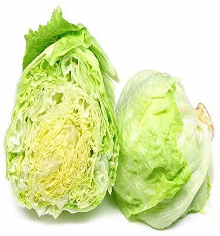 WILLVINE Vegetable Seed  (500 per packet)
