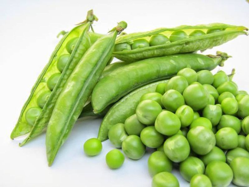 Splorias Peas Seed  (15 per packet)