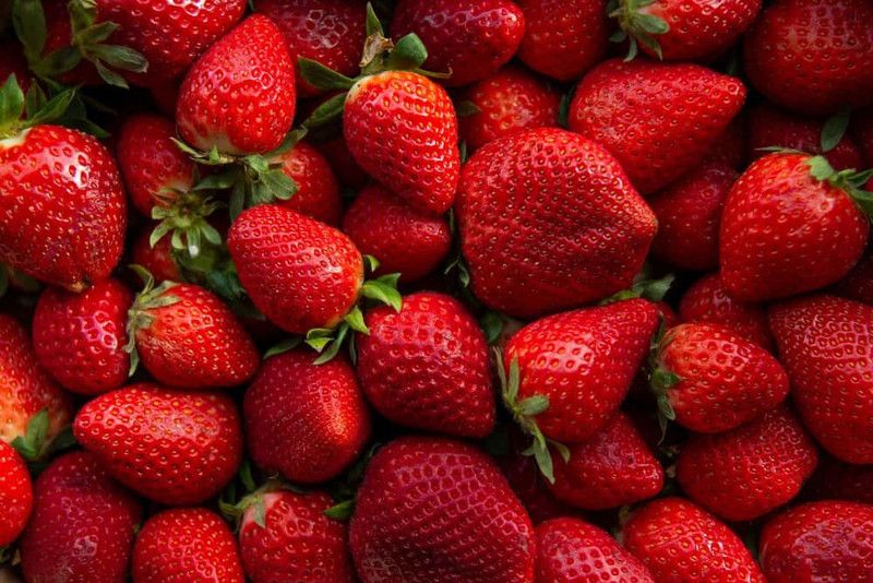 XOLDA Organic Strawberry Fruit Seed  (82 per packet)