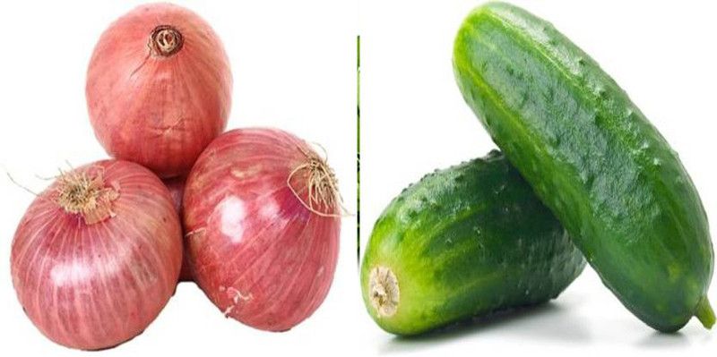 xcentax Cucumber, Onion Summer Seed  (20 per packet)