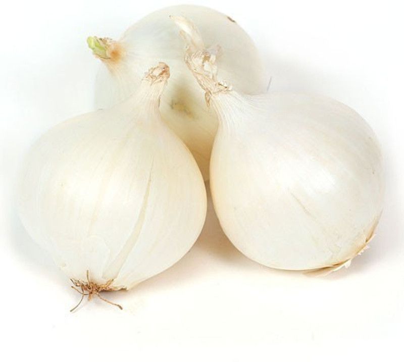 XOLDA Hybrid Onion White Seed  (69 per packet)