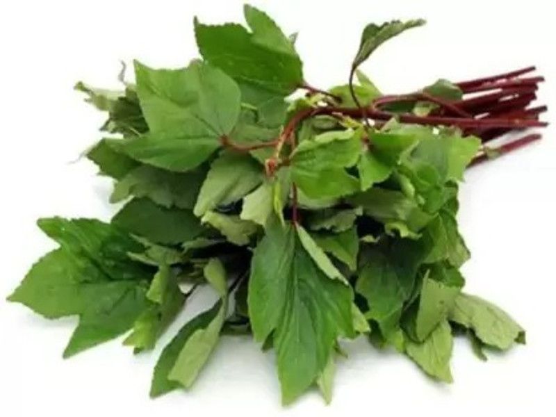 Aro Ambada Red, Gongura, Roselle Seed  (30 per packet)