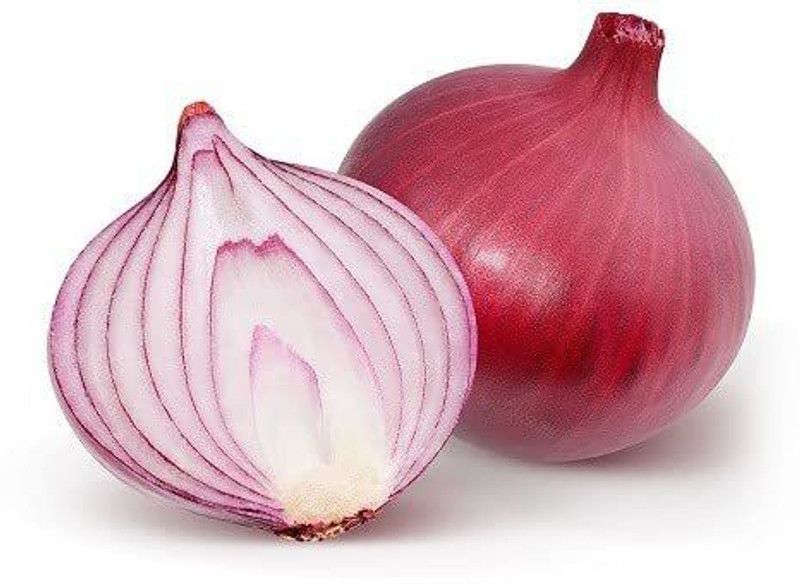 WILLVINE VXI-1073 HYBRID F1 HYBRID ONION SEEDS Seed  (1000 per packet)