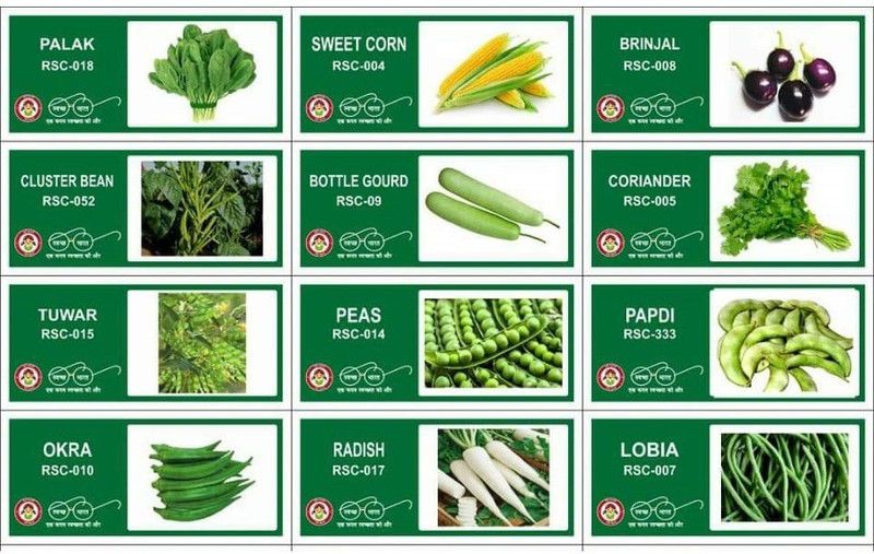 VibeX 12-Varieties-Hybrid Vegetable Seeds Combo Seed  (420 per packet)