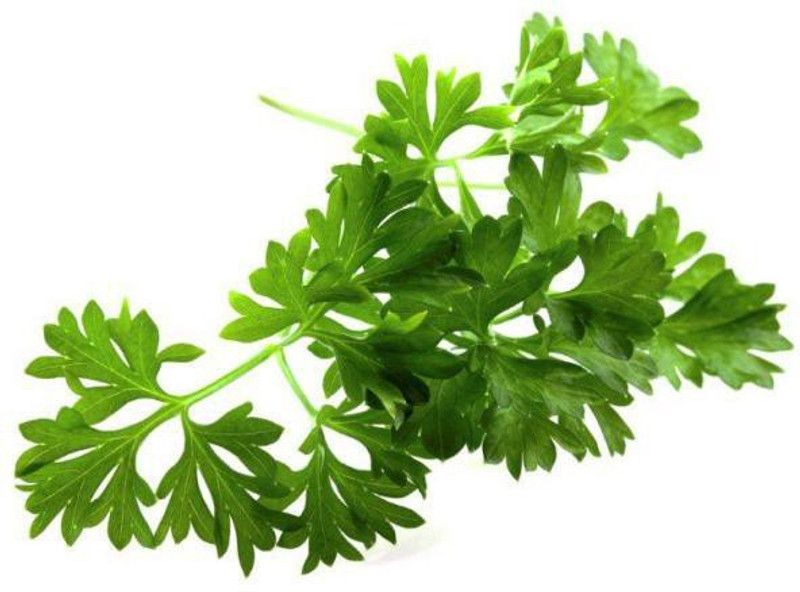 Mozette Parsley Vegetable Seed  (20 per packet)