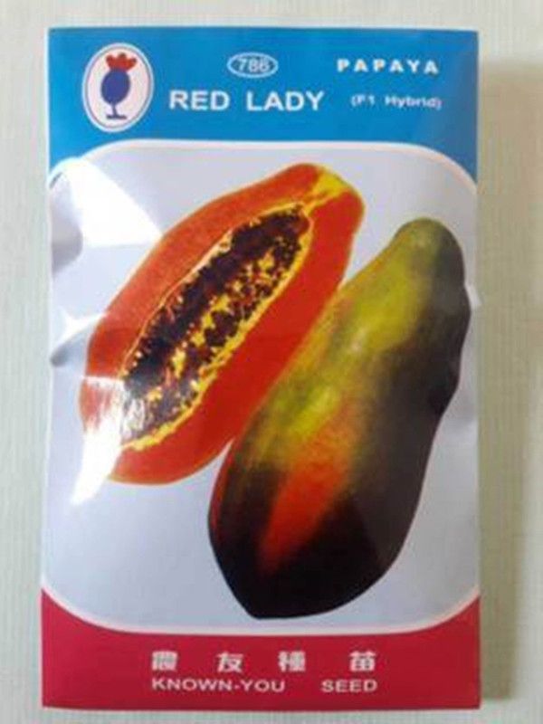 PREMIER PLANTS Red Lady 786 Papaya Taiwan Seeds F1 Hybrid Seed( 40 Seeds ) Seed  (40 per packet)