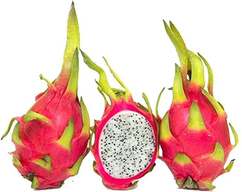Paudha Dragon Fruit Seed  (10 per packet)